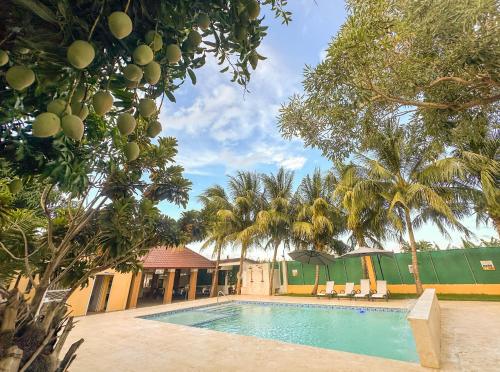 . Terrenal Paradise