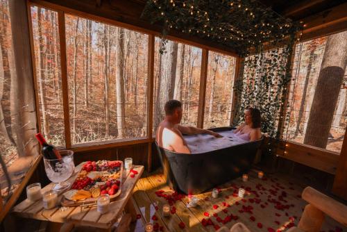 Ma & Pa's cabin at Cabin Fever in NC, Saluda (foto 4)