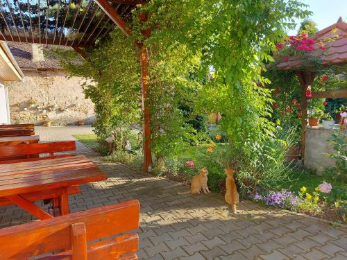 Pensiunea Keisd in 薩斯基茲