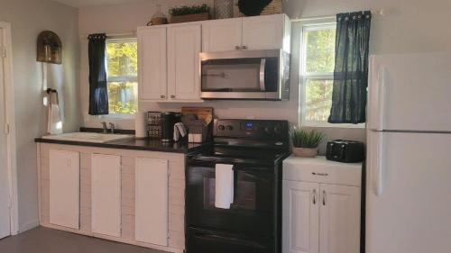 Cottage by the lakeshore with a private hot tub in 特賴恩 (NC)