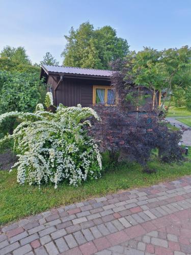 Viesnīcas āriene, Spāres (Spares) in Pāvilosta