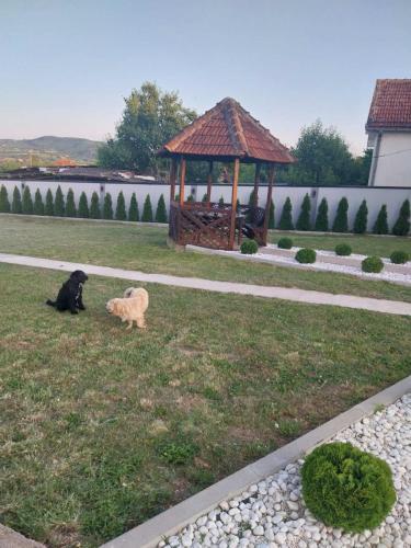 Matvik, Kragujevac (photo 8)