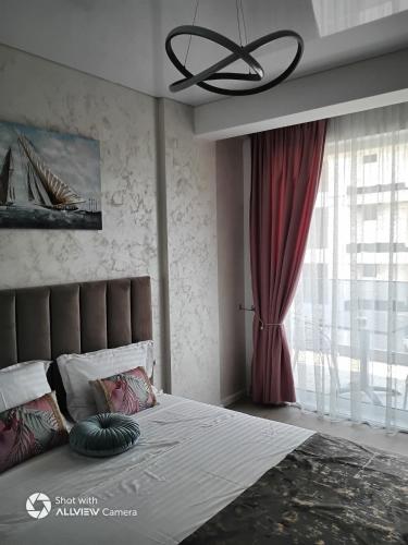 Vibe 43, Năvodari