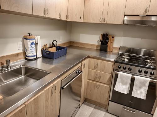 One-Bedroom Premium Apartment image 4