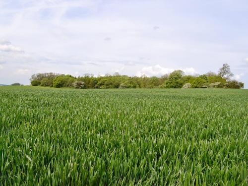Viesnīcas āriene, Waggoners Ban - 29579 in North Willingham