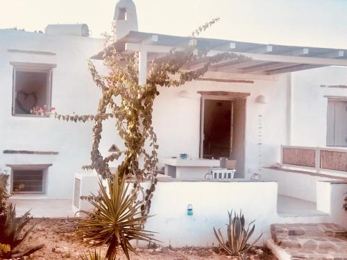 Maisons d'ete summerhouse in Santa Maria