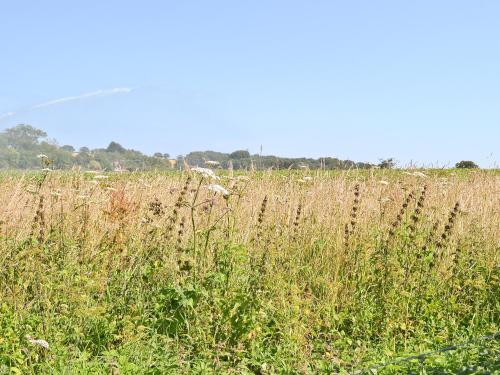 Buitenkant, Grey Ladies in East Beckham