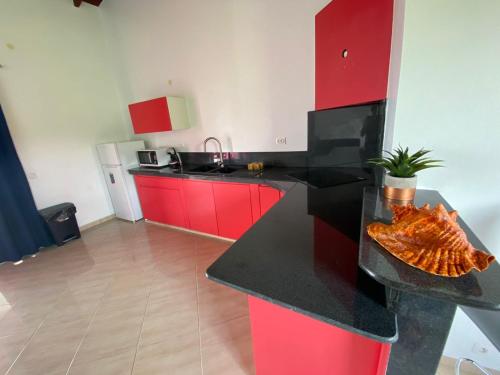 Κουζίνα, Studio Fressinette ou F3 Charme Exotique - Capesterre-Belle-Eau, balcon, vue mer et proche plage in Καπεστέρ-Μπελ-Ο