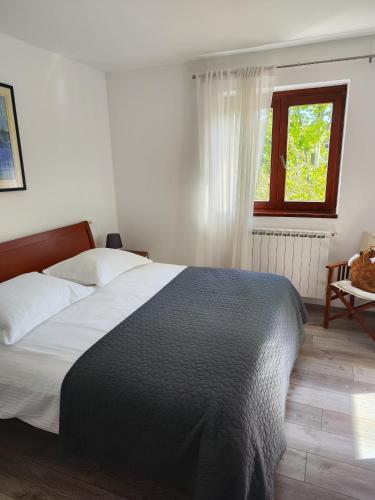 Two-Bedroom Apartment with Terrace image 9