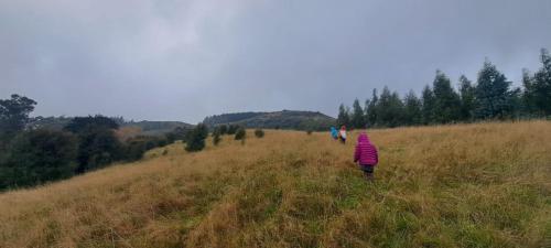 Okuti Retreat in Little River