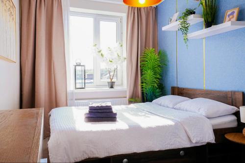 Cofy Rentals - quiet location, air-conditioning, free parking, 24-7 check-in-out with prepaid nighttime check-in, early check-in, late check-out!
