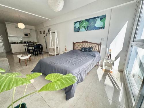 Amoroso Studio in San Telmo