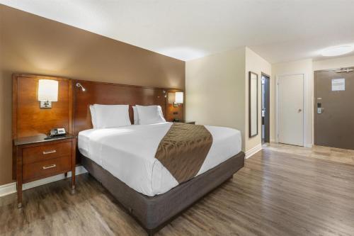 1 king bed