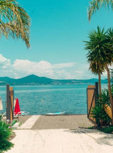 Gigli di Mare - SANTA SEVERA in Santa Severa
