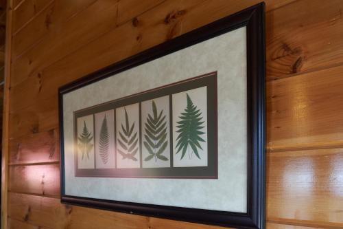 Majestic Views Holiday home - image 11