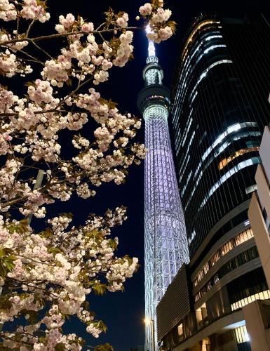 MEET IN SKYtree