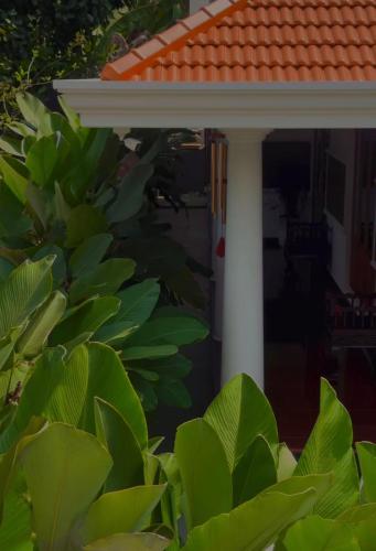 Padmaheritage, Trivandrum (photo 7)