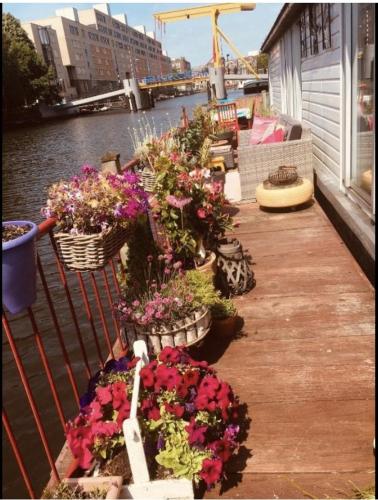 Anna's Houseboat Bed & Breakfast, Amsterdam (foto 6)