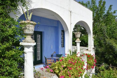 Orloff Resort - image 5