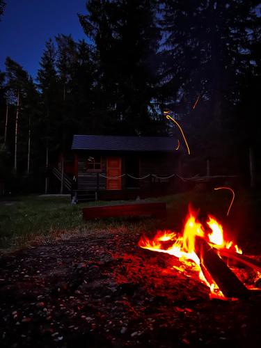 Chaloupka na jehličí (Chaloupka na jehlici) in Všelibice