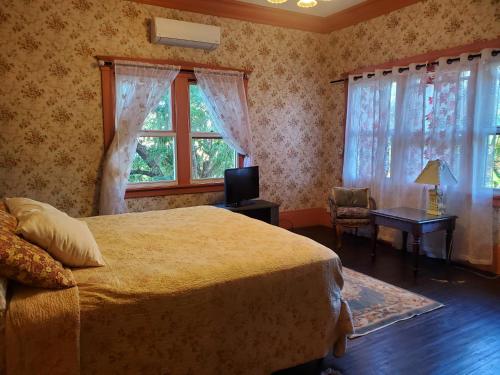 Manoa Valley Inn - image 7