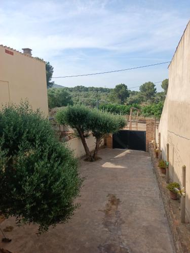 La Pallissa 9 in Bellcaire d'Emporda