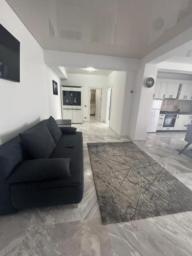 One-Bedroom Apartment image 10
