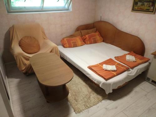 Exit festival house stay