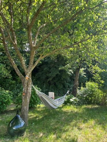 Dārzs, THE TULIP APARTMENT 2 rooms in Ronzo Chienis