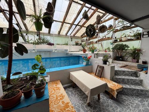 Úszómedence, Etno Rekreacia Tabatadze, With Outdoor pool in Sareki