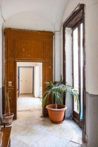 Toledo Heights by NapoliApartments - image 4