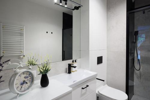 Malila Premium Apartments Cracow Limanowskiego 37, Cracovia (foto 4)