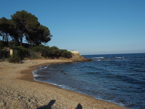 Beach, Prime Rose in Frejus