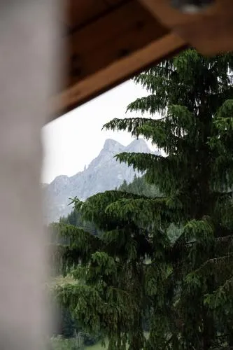 Gasthof Schöntal in Werfenweng, Österreich