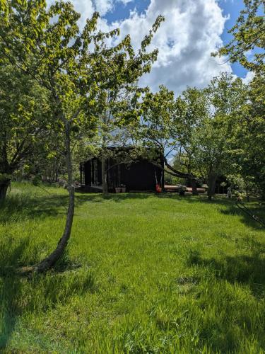 Exterior view, Tiny House Overlooking Nature in Vordingborg