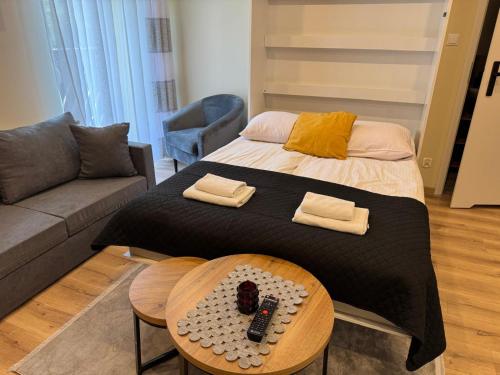 Apartament i Pokoje Gościnne u Lusi - BASEN z podgrzewaną wodą i zadaszeniem