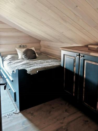 Large Cabin By Farhovdtjønn In Rauland, Rauland (fotografie 4)