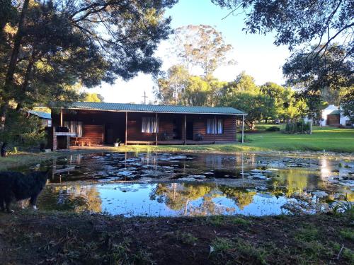 Plett Forest Cabins - Tap to explore photos