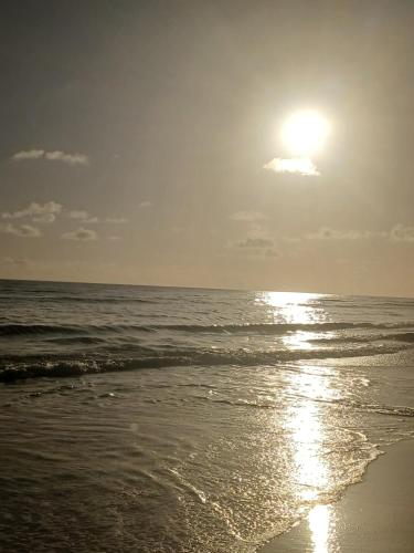 Seadeck, Barra Mozambique, Inhambane (Foto 8)