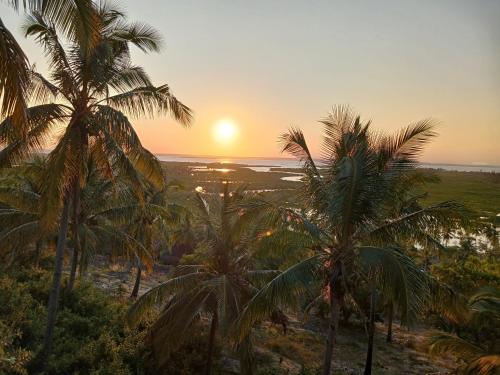 Seadeck, Barra Mozambique, Inhambane (Foto 9)