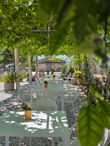 Tenuta degli Ulivi - Dimora Contadina in Монтекорвіно-Ровелла