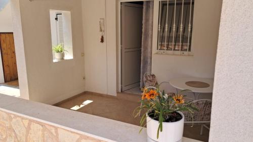 One-Bedroom Apartment image 3