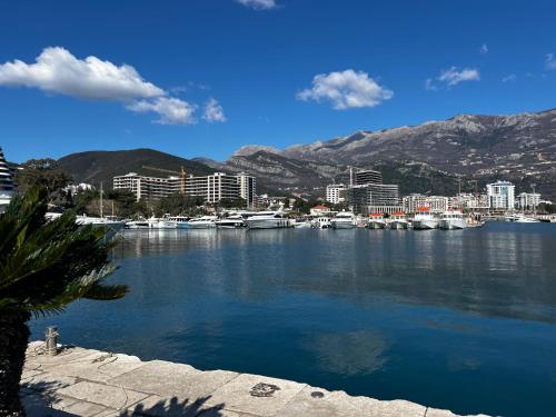 NEWBORN Hostel Budva in Babin Do