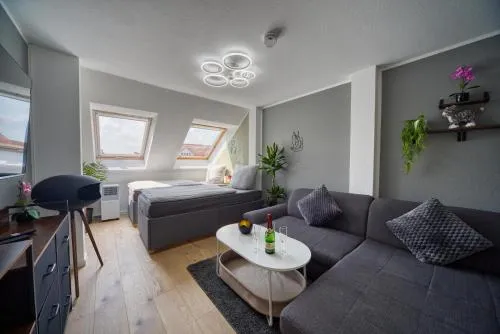 DresdenStay Modern 3 Schlafzimmer Kamin PS4 Kicker in Dresden, Deutschland