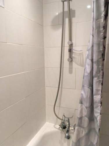 Large flat with garden view near Bath centre, Bath (photo 10)
