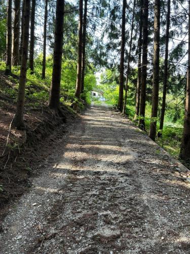 Charming 18th Century Wooden cottage in Eichberg