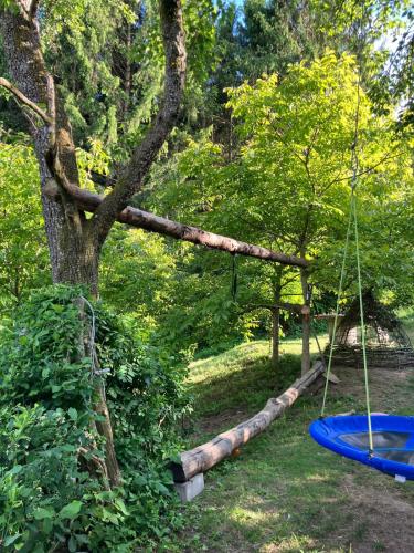 Charming 18th Century Wooden cottage in Eichberg