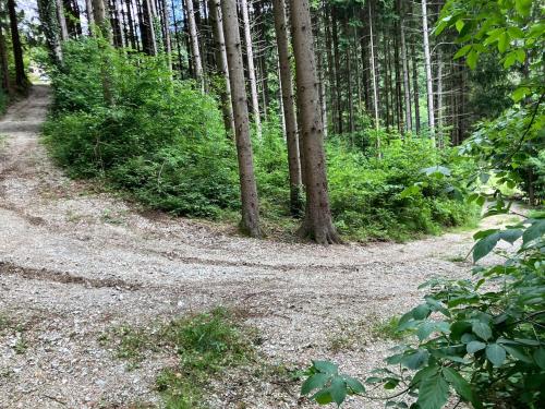 Charming 18th Century Wooden cottage in Eichberg