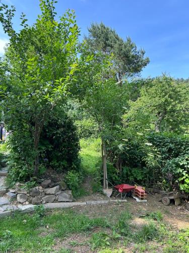 Charming 18th Century Wooden cottage in Eichberg