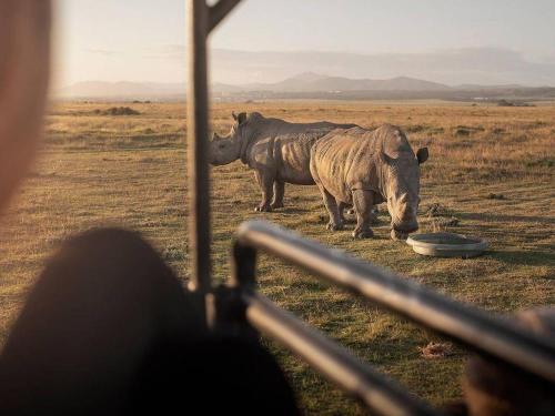 Surrounding environment, Lombardini Game Farm and Rhino Sanctuary in Aston Bay